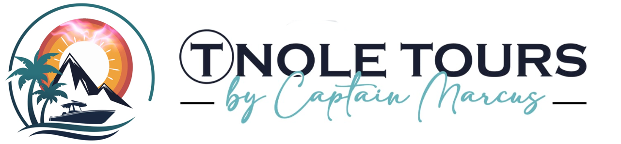tnoletoursstlucia